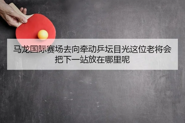 马龙国际赛场去向牵动乒坛目光这位老将会把下一站放在哪里呢